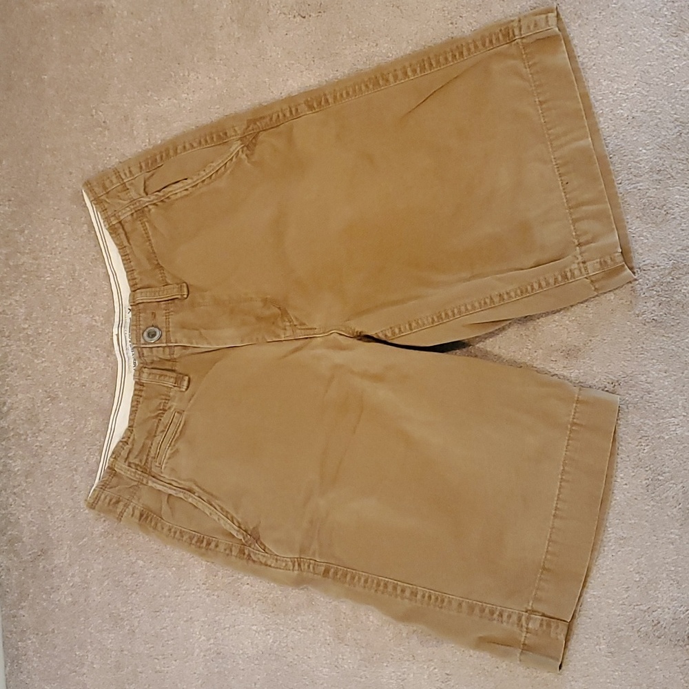 American Eagle men's shorts
